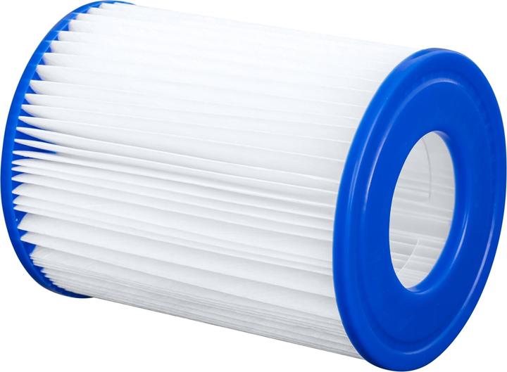 Actual product image Bestway filter cartridge
