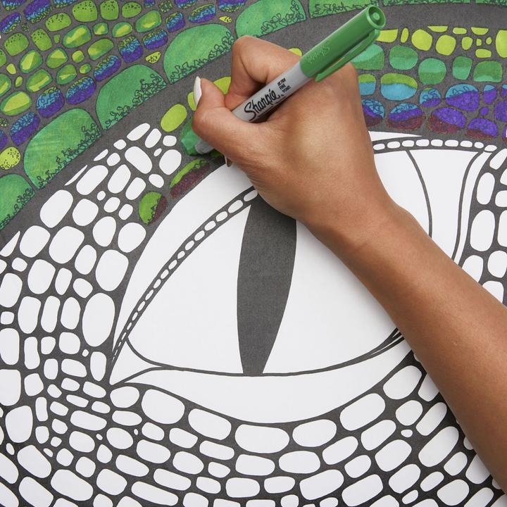 Actual product image Sharpie Ultra Fine (Multicoloured, 0.30 mm, 12 x)