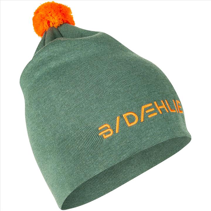Daehlie Hat Frost (One Size)