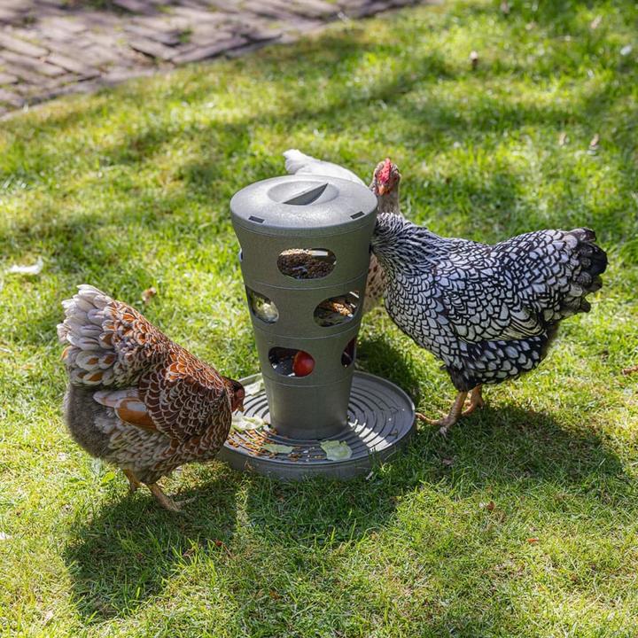 Image du produit Beeztees Mangeoire pour poules Tour d'alimentation, Gris