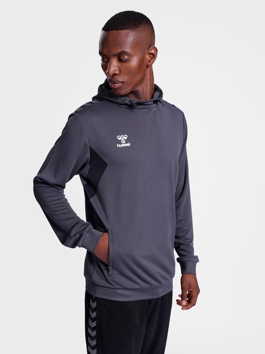 Actual product image hummel Hmlauthentic Pl Hoodie (XL)