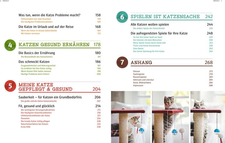 Actual product image Katzen (German, Gerd Ludwig, 2013)