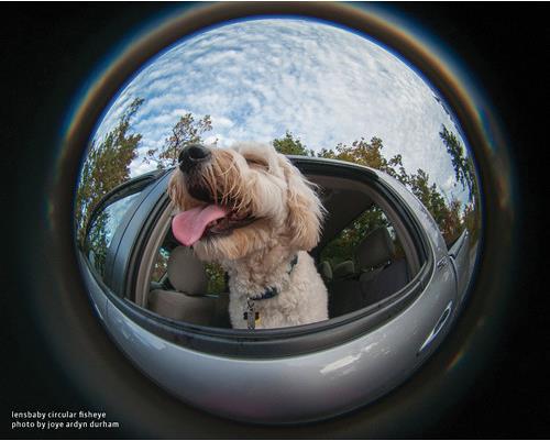 Actual product image Lensbaby 5.8mm 185° Circular Fisheye lens, Nikon F Mount (Nikon F, full size)