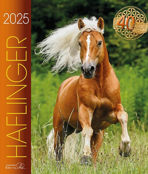Image du produit Haflinger 2025 (Couverture rigide, Allemand)