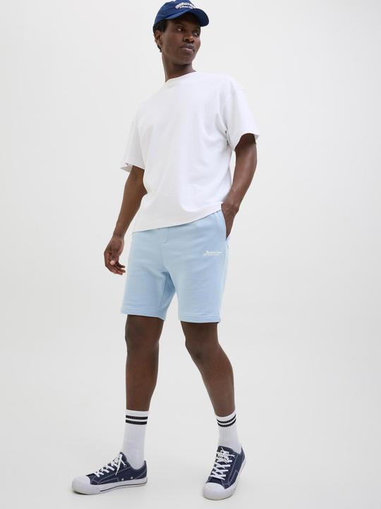 Immagine prodotto Jack & Jones Regular Fit Shorts Shorts (XS)