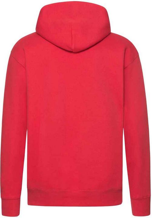 Image du produit Fruit of the Loom - Sweat à capuche PREMIUM - Homme (L)