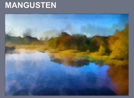 Actual product image Mangusten (German, Books LLC, 2014)