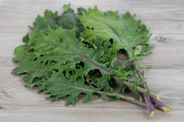 Produktbild Zollinger Bio Grünkohl (Kale), Roter Russe (Keimlinge)