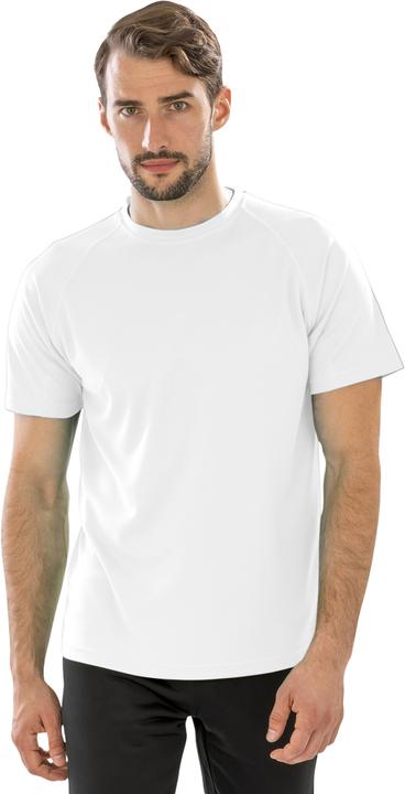 Image du produit Spiro UTPC3166 P (S)