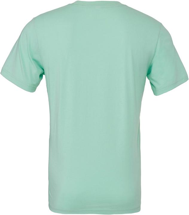Actual product image Bella Canvas Cvc Tshirt Adult (S)