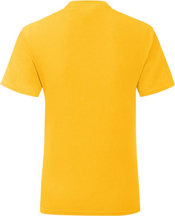 Actual product image Fruit of the Loom Girls Iconic TShirt (164, 170)