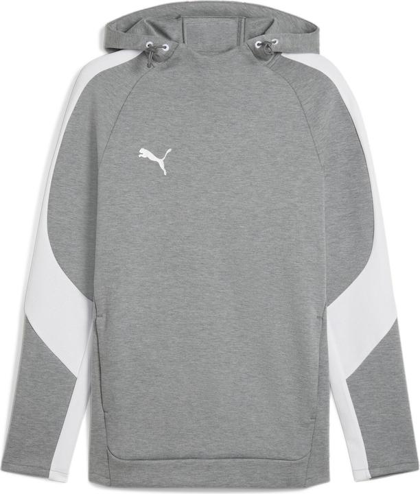 Puma teamEVOSTRIPE Hoody