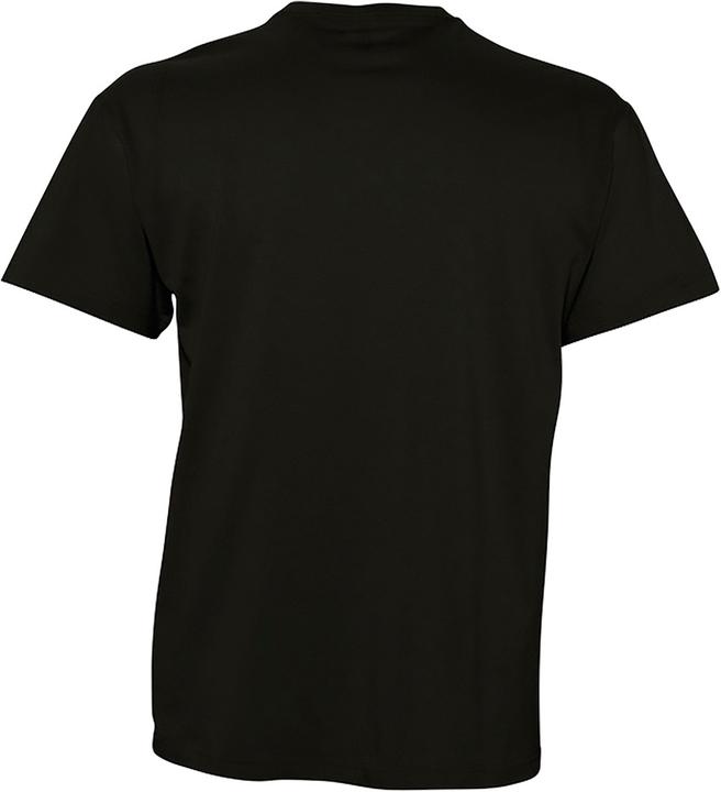 Actual product image Sols Victory T-shirt V-neck short sleeve (L)