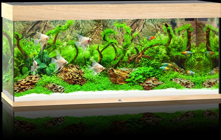 Produktbild Juwel Aquarium Rio (240 l)