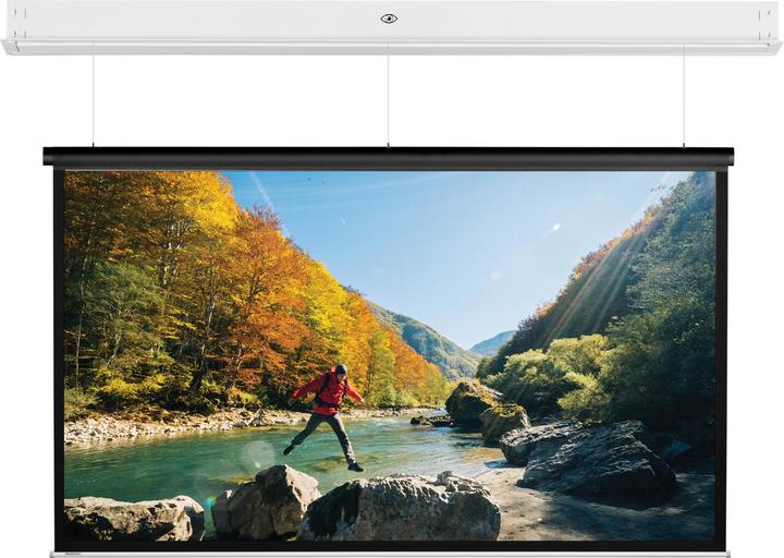 Actual product image Projecta DescenderPro (85.83", 16:9)