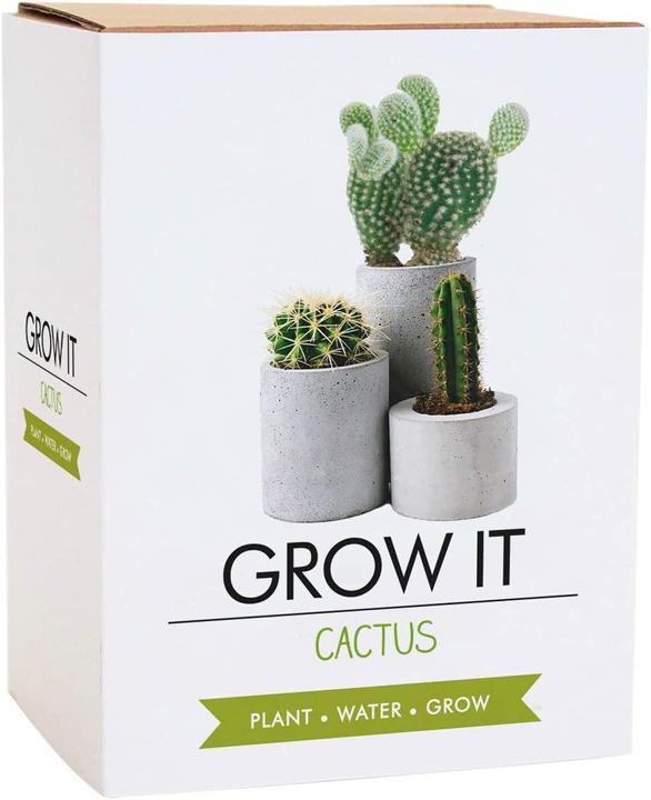 Produktbild Gift Republic Grow it Kaktus - Wohndekoration