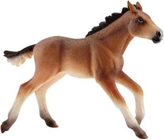 Immagine prodotto Schleich Animali in fattoria