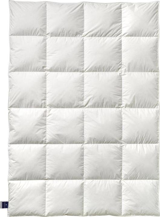 Immagine prodotto Billerbeck Daunendecke 306 Nena Mono medium, Füllung: 100% Gänsedaunen (1030 g, 240 x 220 cm)