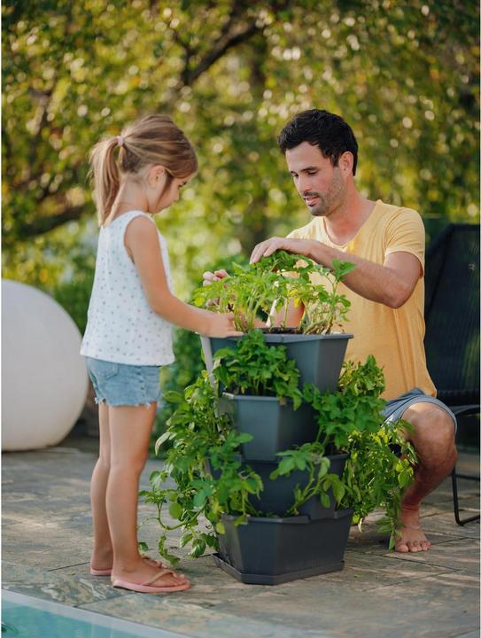 Produktbild Gusta Garden Paul Potato (38.80 cm)