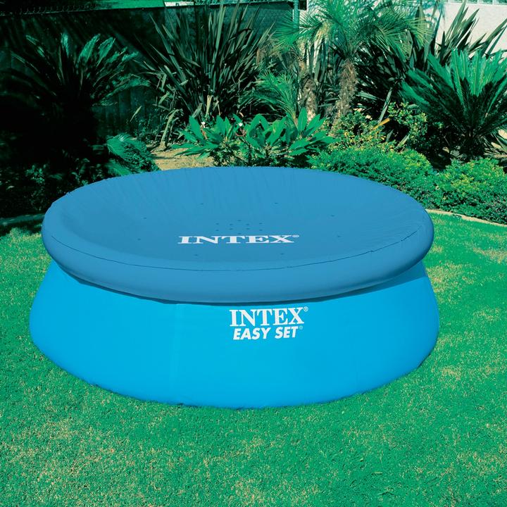 Actual product image Intex Easy Set Pool 28021