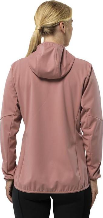 Image du produit Jack Wolfskin Feldberg Hoody W (XS)