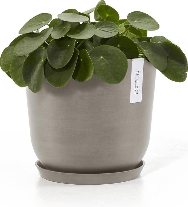 Actual product image Ecopots Saucer round 21