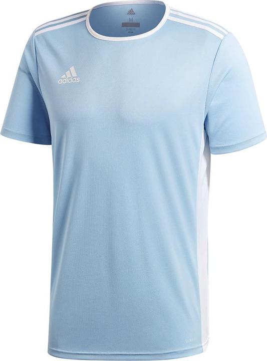 adidas Entrada 18 Fußballtrikot Kinder (128)