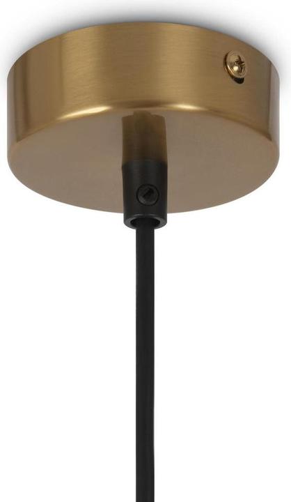 Immagine prodotto Maytoni Luce a sospensione ad anello, luce a sospensione 4x G9 in ottone (G9)