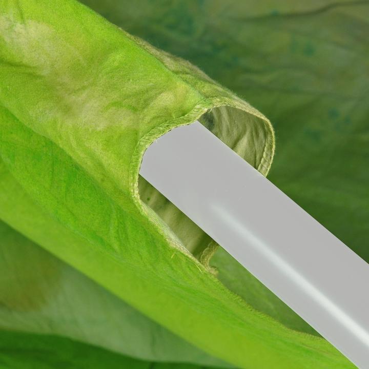 Produktbild Walimex pro pro Motiv-Stoffhintergrund 'Fresh' (300 cm, 600 cm)