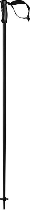 Produktbild Head Ski Pole Multi 2024 (125 cm)