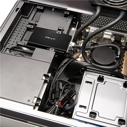 Image du produit PNY CS900 (250 Go, 2.5")