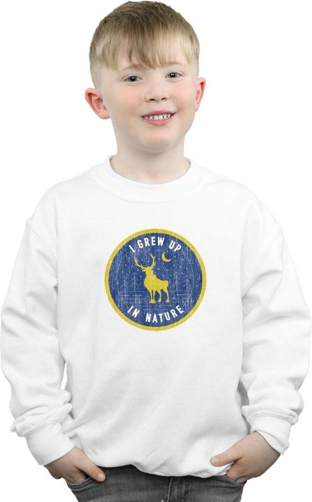 Actual product image Disney Boys Frozen 2 Sven I Grew Up In Nature Sweatshirt (152, 158)