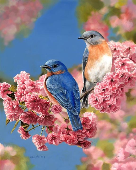 Actual product image Figured'Art Paint by Numbers - Bluebirds