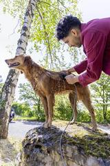 Produktbild Kärcher OC3 Plus (Akkubetrieb)