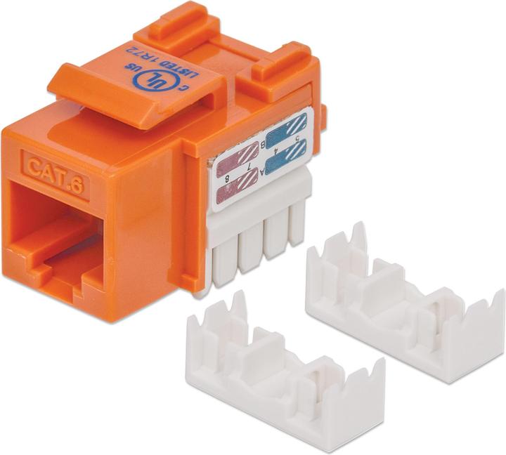 Actual product image Intellinet Cat6 modular jack (Network coupling)
