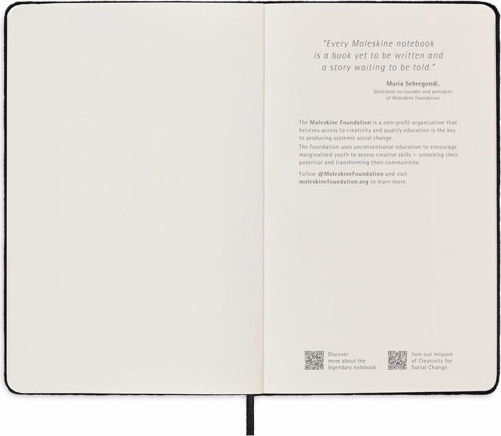Actual product image Moleskine Notebooks VELVET (A5, Lined)
