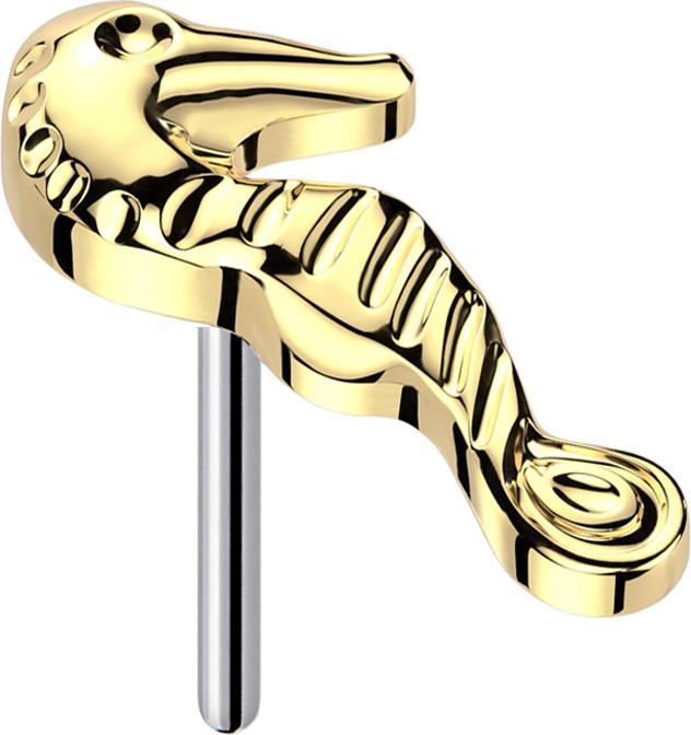 Immagine prodotto Star Piercing Threadless Seepferdchen vergoldet (senza ottone, Titanio G23)