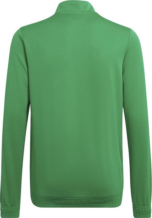 Actual product image adidas Entrada 22 training jacket kids (152)