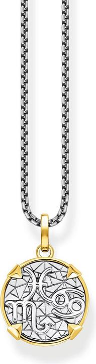 Produktbild Thomas Sabo Halskette Elements of Nature Gold (Silber 925, 45 - 50 cm)