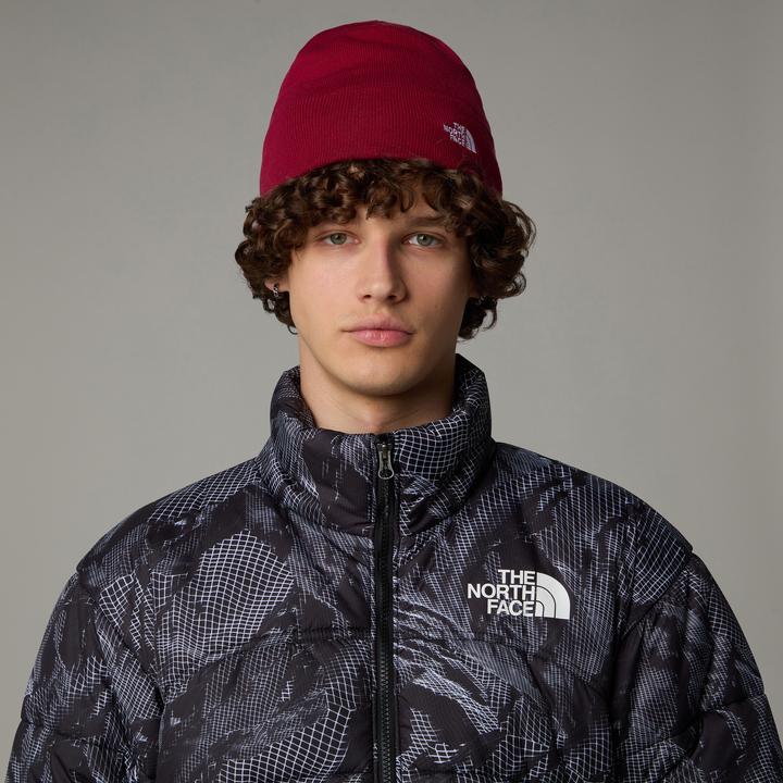 Immagine prodotto North Face Standard