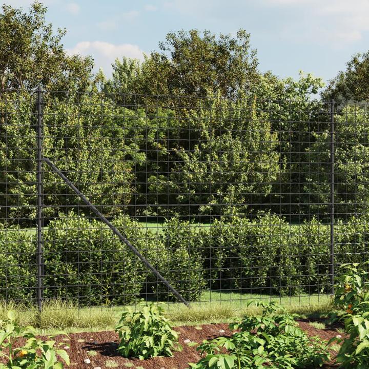 Immagine prodotto VidaXL Maschendrahtzaun mit Bodenhülsen Anthrazit 1,6x10 m