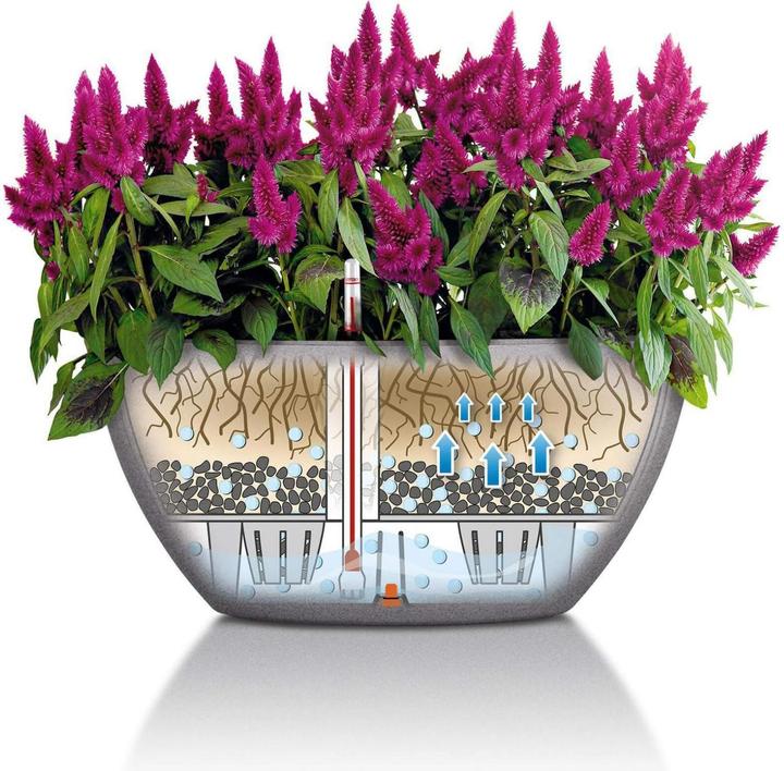 Produktbild Lechuza Cubeto Color (30 cm)