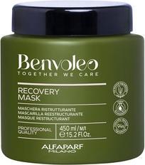 Immagine prodotto Alfaparf Alfa Benvoleo Recovery Mask 450ml (450 ml)