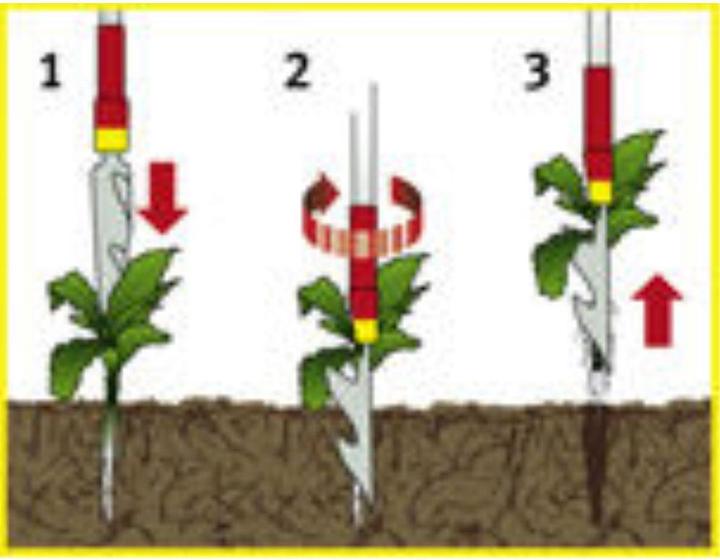 Image du produit Wolf-Garten iW-M Coupe-chardon