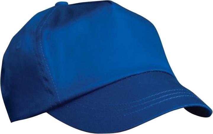 Bleu roi