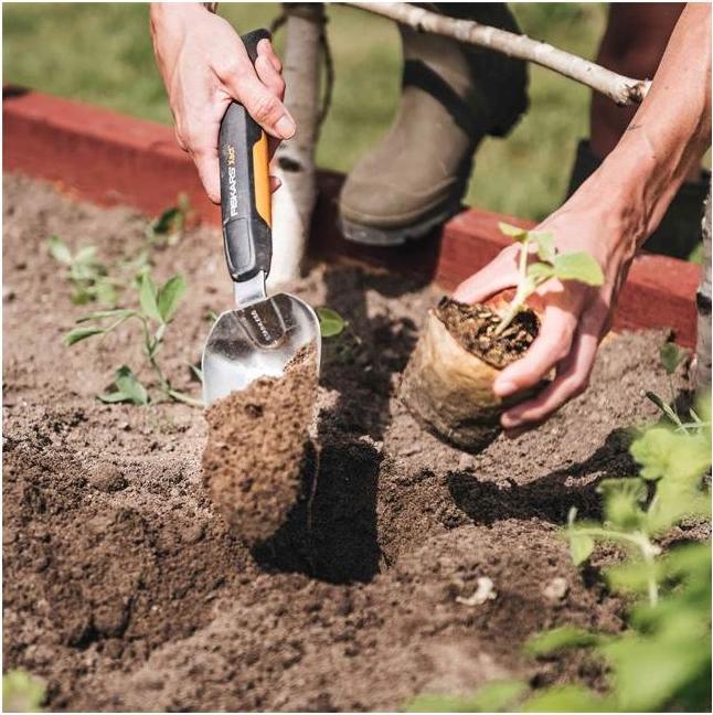 Produktbild Fiskars Xact Gartenkelle Edelstahl, Edelstahl