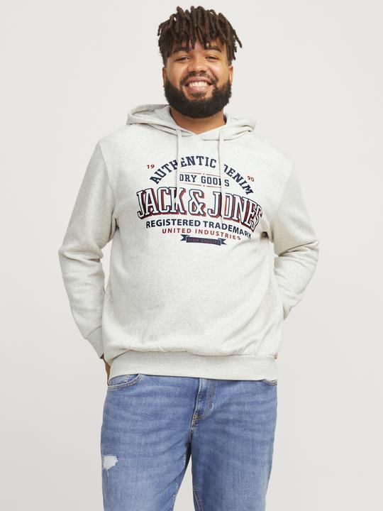 Actual product image Jack & Jones JJELOGO SWEAT HOOD 2 COL 24/25 NOOS PLS (5XL)