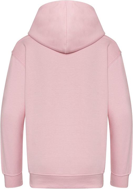 Image du produit Awdis Sweat à capuche issu de l'agriculture biologique (158)