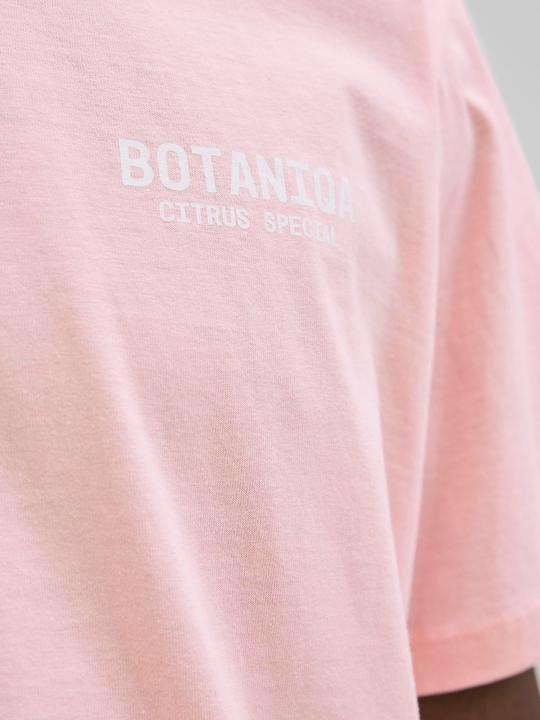 Actual product image Jack & Jones Jorbotaniq Tee Ss Crew Neck Tg Ln (XXL)