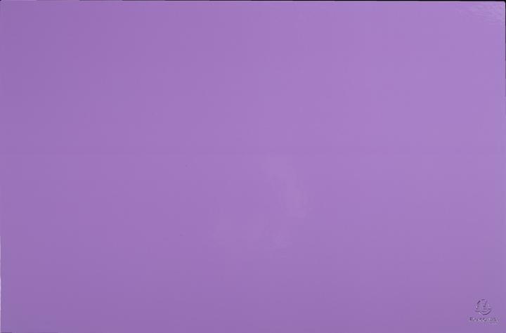 Image du produit Exacompta Sous-main (585 x 385 mm)